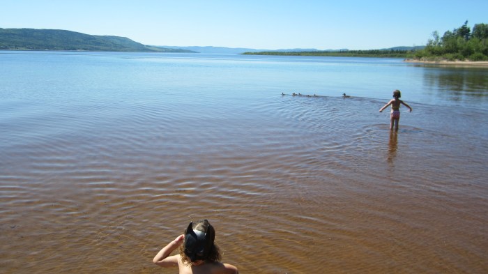 13 JUNE 2012 - DEER LAKE