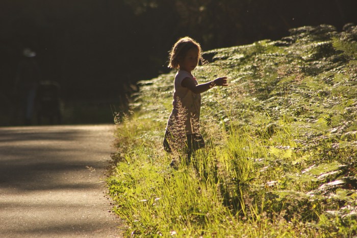 29 JULY 2012 - APGAR CAMPGROUND BIKE PATH