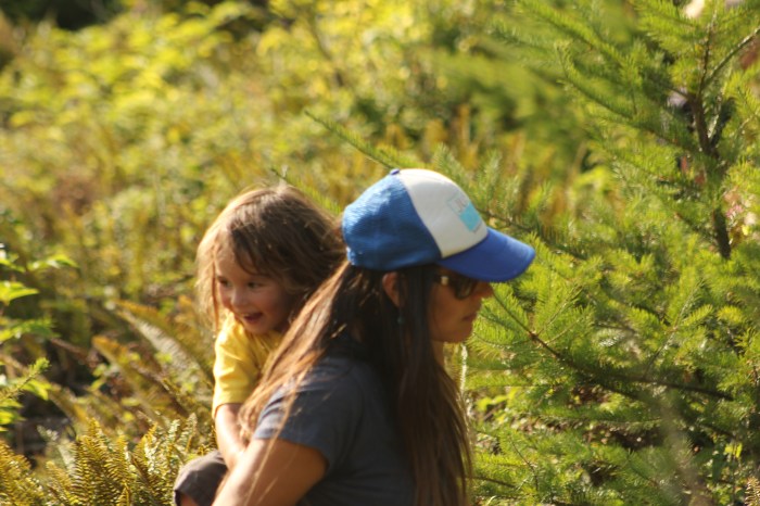17 AUGUST 2012 - FORKS, berry picking
