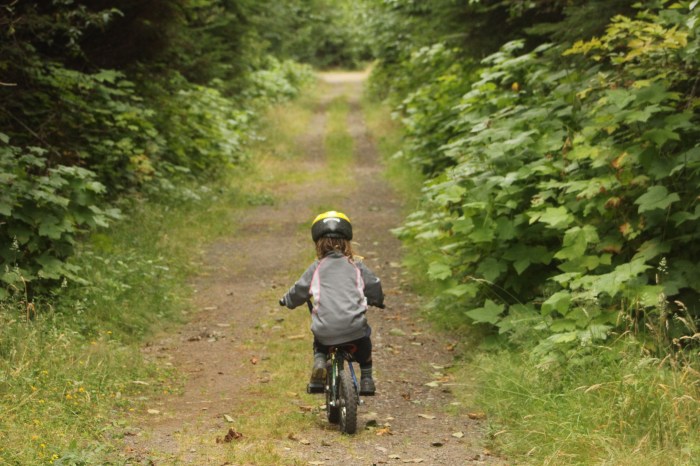 24 AUGUST 2012 - Closing Ceremony of Olympics