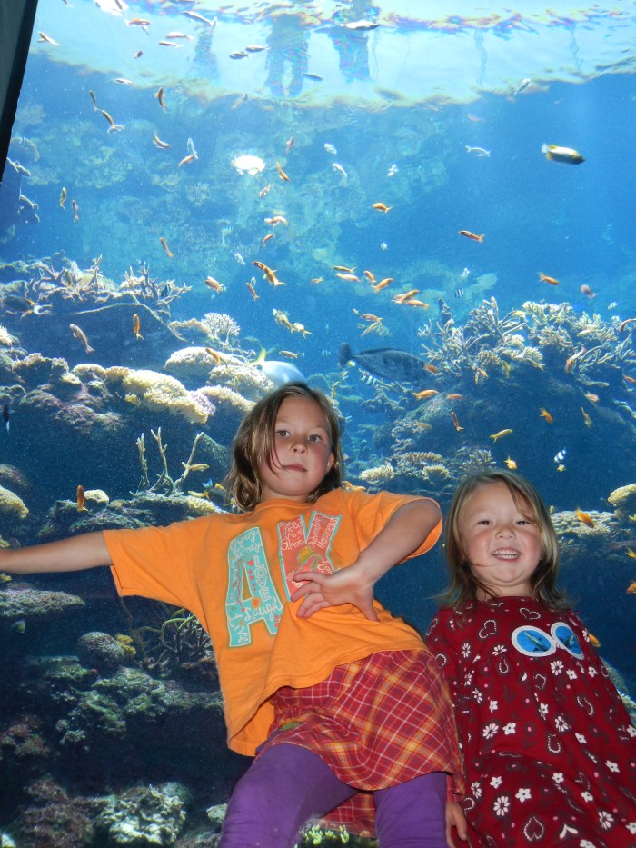 22 October 2012 - Academy of Science, San Francisco California