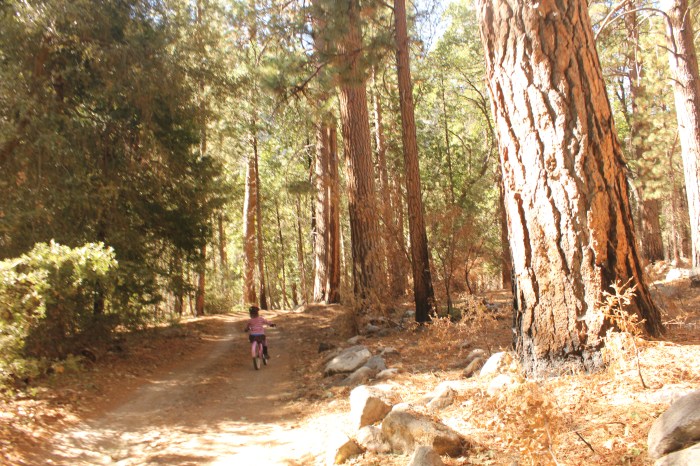 10 October 2012 - King's Canyon National Park