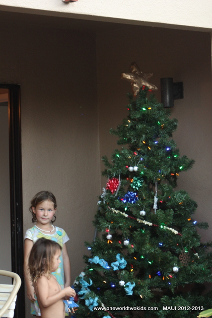 121123 Maui 0492
