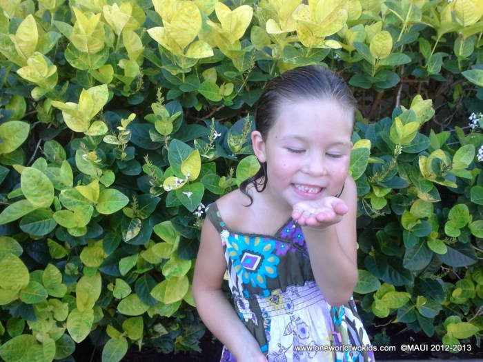 130118 Maui 0926